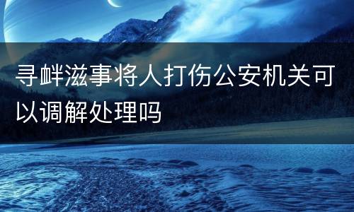 寻衅滋事将人打伤公安机关可以调解处理吗