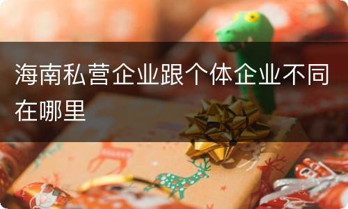 海南私营企业跟个体企业不同在哪里