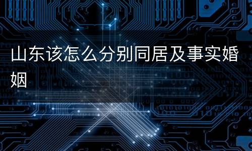 山东该怎么分别同居及事实婚姻