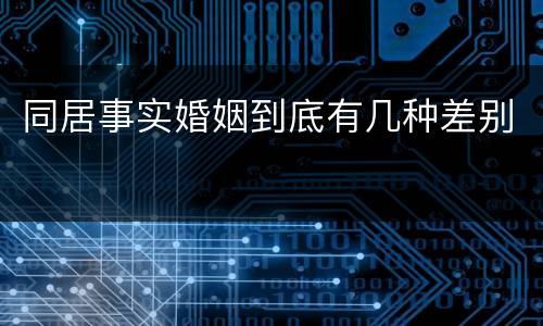 同居事实婚姻到底有几种差别