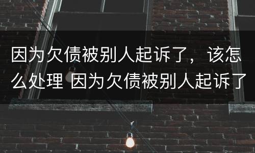 因为欠债被别人起诉了，该怎么处理 因为欠债被别人起诉了,该怎么处理呢