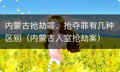 内蒙古抢劫罪、抢夺罪有几种区别（内蒙古入室抢劫案）