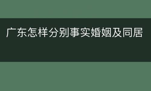 广东怎样分别事实婚姻及同居