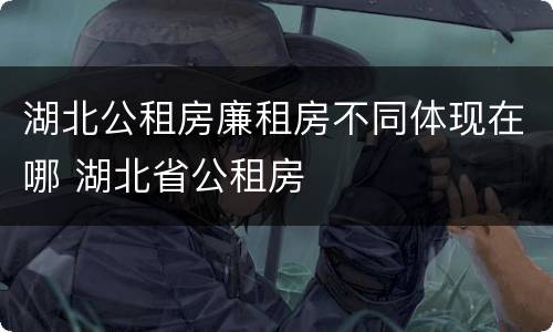 湖北公租房廉租房不同体现在哪 湖北省公租房