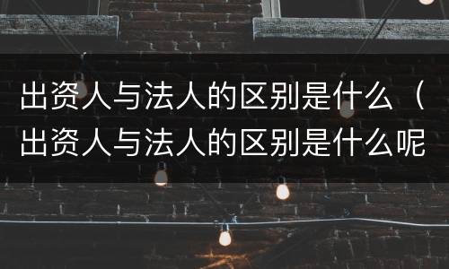 出资人与法人的区别是什么（出资人与法人的区别是什么呢）