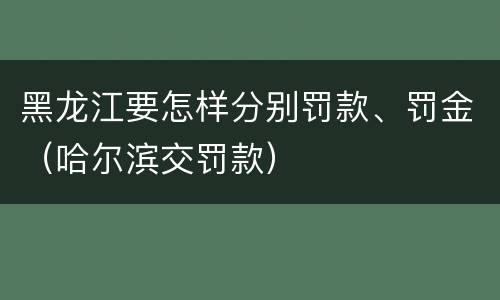 黑龙江要怎样分别罚款、罚金（哈尔滨交罚款）