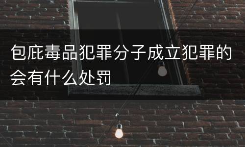 包庇毒品犯罪分子成立犯罪的会有什么处罚