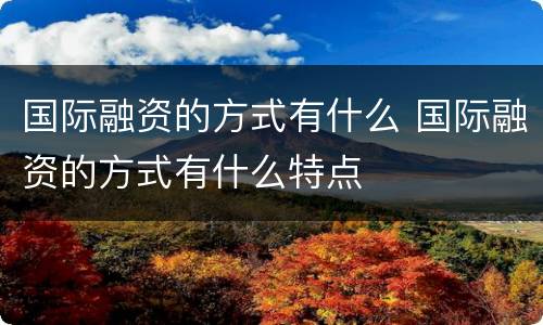 国际融资的方式有什么 国际融资的方式有什么特点