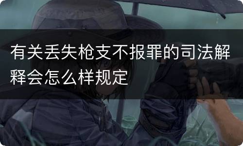 有关丢失枪支不报罪的司法解释会怎么样规定
