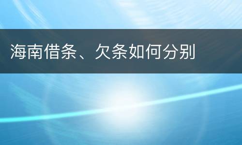 海南借条、欠条如何分别