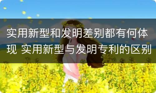 实用新型和发明差别都有何体现 实用新型与发明专利的区别有哪些