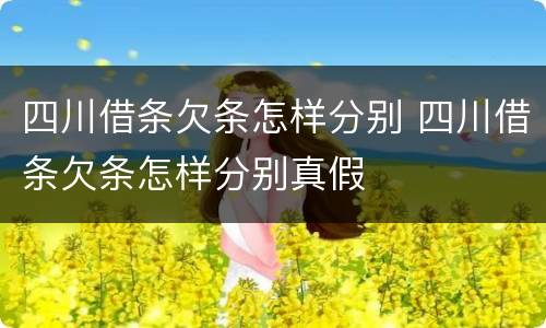 四川借条欠条怎样分别 四川借条欠条怎样分别真假