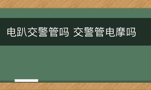 电趴交警管吗 交警管电摩吗