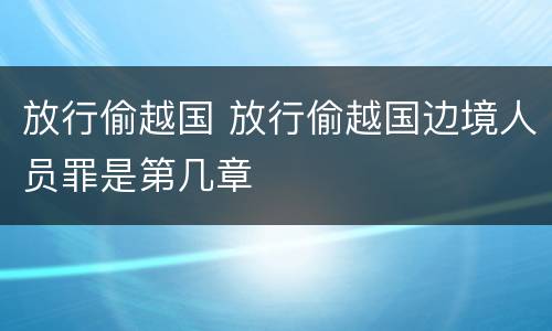 放行偷越国 放行偷越国边境人员罪是第几章