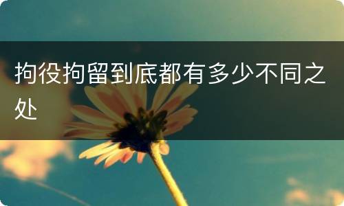 拘役拘留到底都有多少不同之处