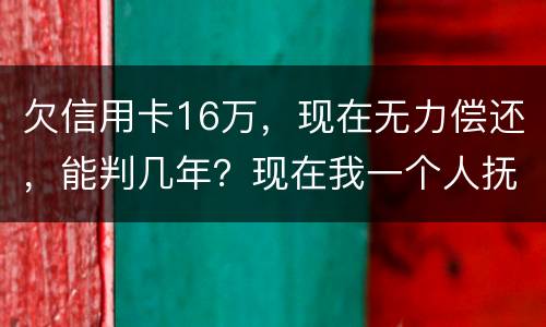 欠信用卡16万，现在无力偿还，能判几年？现在我一个人抚养孩子，判刑后孩子怎么办