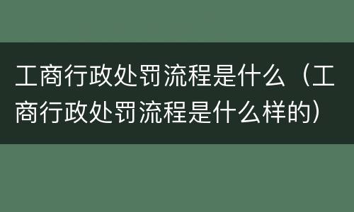 工商行政处罚流程是什么（工商行政处罚流程是什么样的）