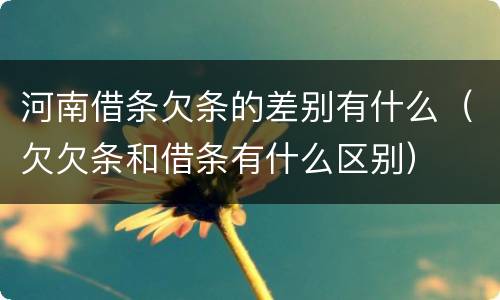 河南借条欠条的差别有什么（欠欠条和借条有什么区别）