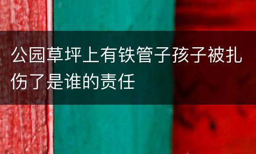 公园草坪上有铁管子孩子被扎伤了是谁的责任