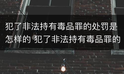 犯了非法持有毒品罪的处罚是怎样的 犯了非法持有毒品罪的处罚是怎样的处理