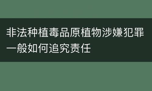 非法种植毒品原植物涉嫌犯罪一般如何追究责任