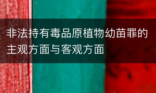 非法持有毒品原植物幼苗罪的主观方面与客观方面