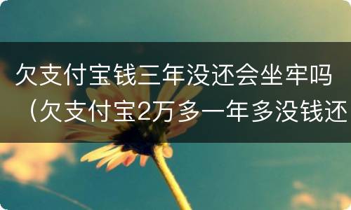 欠支付宝钱三年没还会坐牢吗（欠支付宝2万多一年多没钱还,会不会坐牢）
