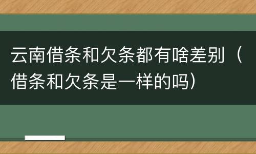云南借条和欠条都有啥差别（借条和欠条是一样的吗）