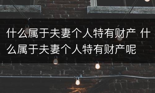 什么属于夫妻个人特有财产 什么属于夫妻个人特有财产呢