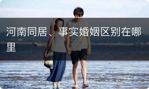 河南同居、事实婚姻区别在哪里