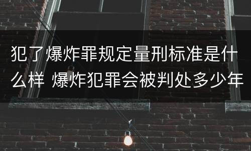 犯了爆炸罪规定量刑标准是什么样 爆炸犯罪会被判处多少年