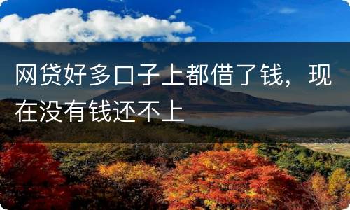 网贷好多口子上都借了钱，现在没有钱还不上