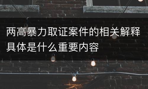 两高暴力取证案件的相关解释具体是什么重要内容