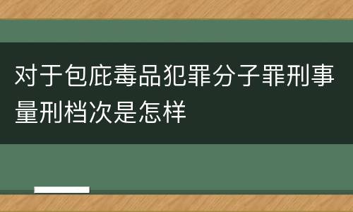 对于包庇毒品犯罪分子罪刑事量刑档次是怎样