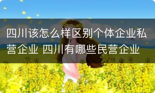 四川该怎么样区别个体企业私营企业 四川有哪些民营企业