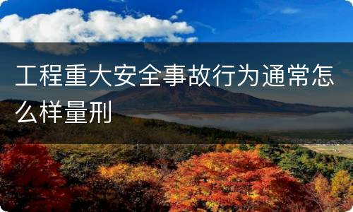 工程重大安全事故行为通常怎么样量刑
