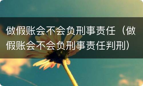 做假账会不会负刑事责任（做假账会不会负刑事责任判刑）