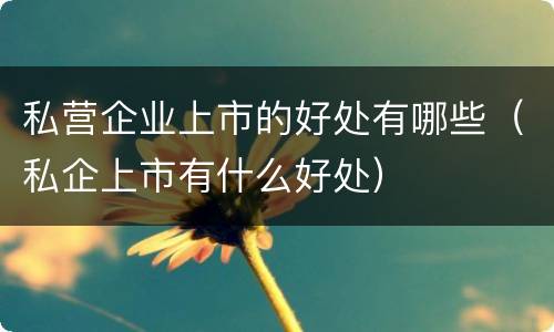 私营企业上市的好处有哪些（私企上市有什么好处）