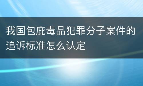 我国包庇毒品犯罪分子案件的追诉标准怎么认定