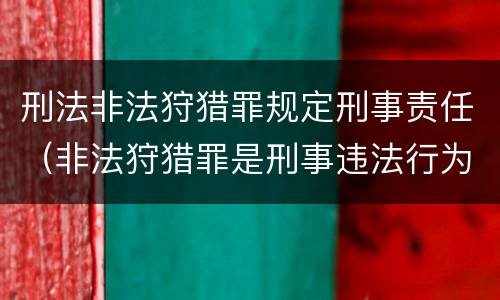 刑法非法狩猎罪规定刑事责任（非法狩猎罪是刑事违法行为吗）