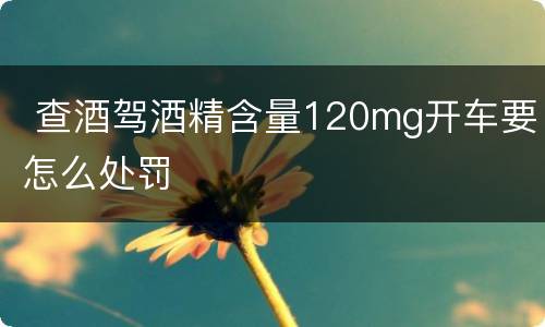  查酒驾酒精含量120mg开车要怎么处罚