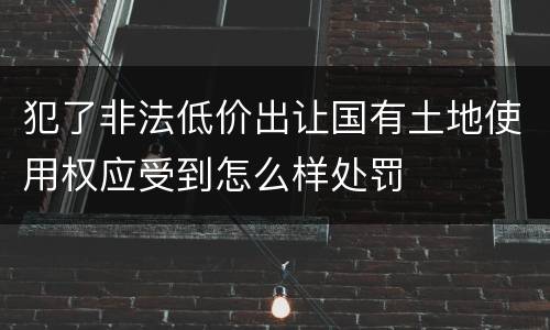 犯了非法低价出让国有土地使用权应受到怎么样处罚