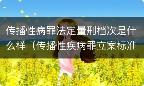 传播性病罪法定量刑档次是什么样（传播性疾病罪立案标准）