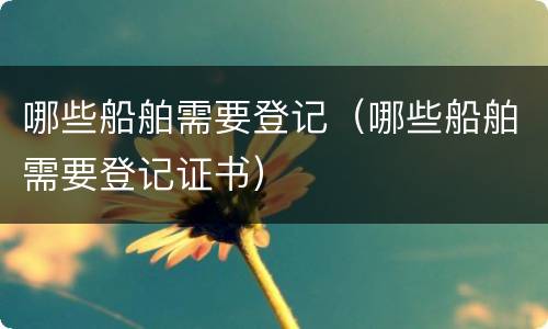 哪些船舶需要登记（哪些船舶需要登记证书）