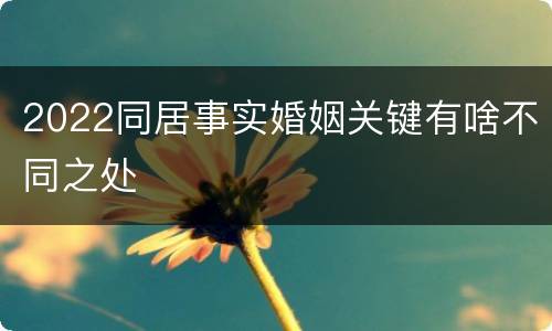 2022同居事实婚姻关键有啥不同之处