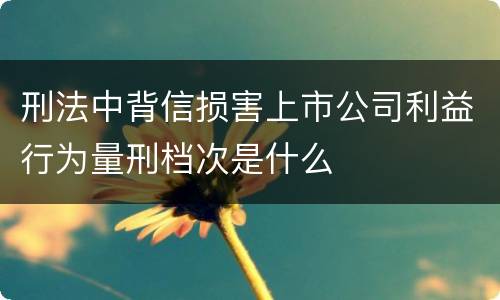 刑法中背信损害上市公司利益行为量刑档次是什么