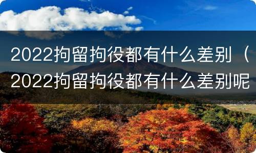 2022拘留拘役都有什么差别（2022拘留拘役都有什么差别呢）