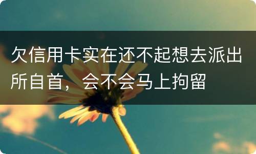 欠信用卡实在还不起想去派出所自首，会不会马上拘留