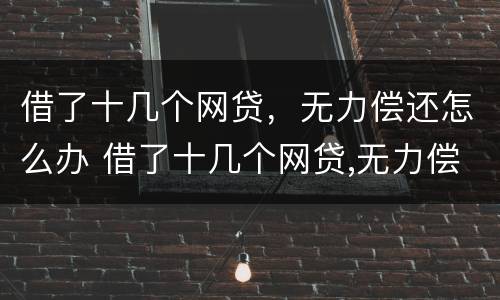 借了十几个网贷，无力偿还怎么办 借了十几个网贷,无力偿还怎么办理