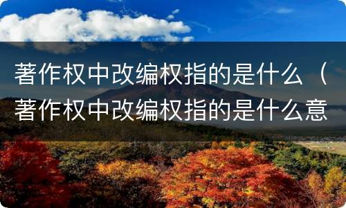 著作权中改编权指的是什么（著作权中改编权指的是什么意思）